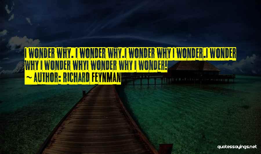 Richard Feynman Quotes 1300941