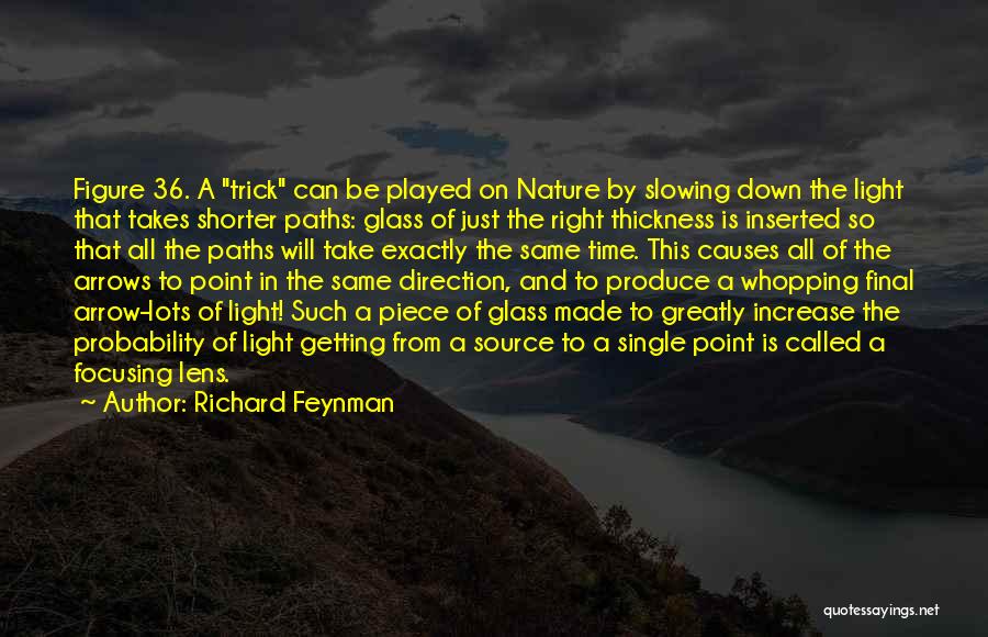 Richard Feynman Quotes 1325271