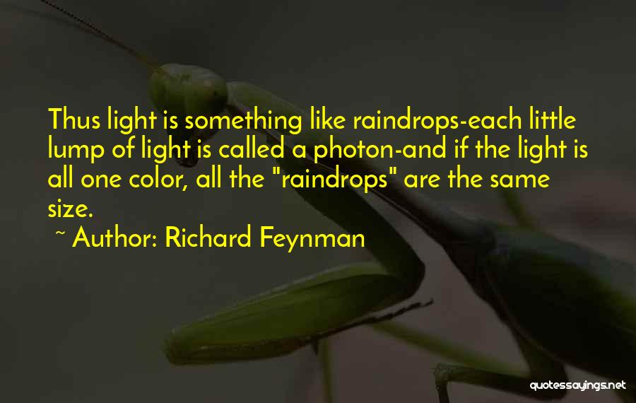 Richard Feynman Quotes 1620395