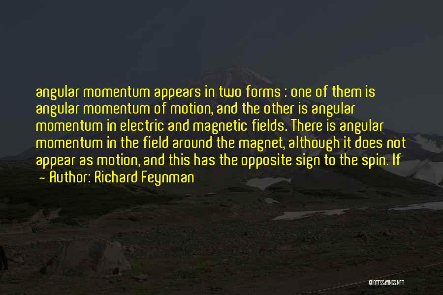 Richard Feynman Quotes 1838221