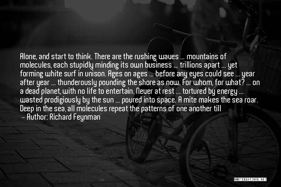 Richard Feynman Quotes 1872634