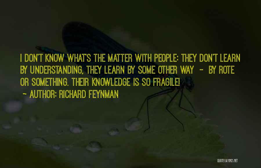 Richard Feynman Quotes 314229