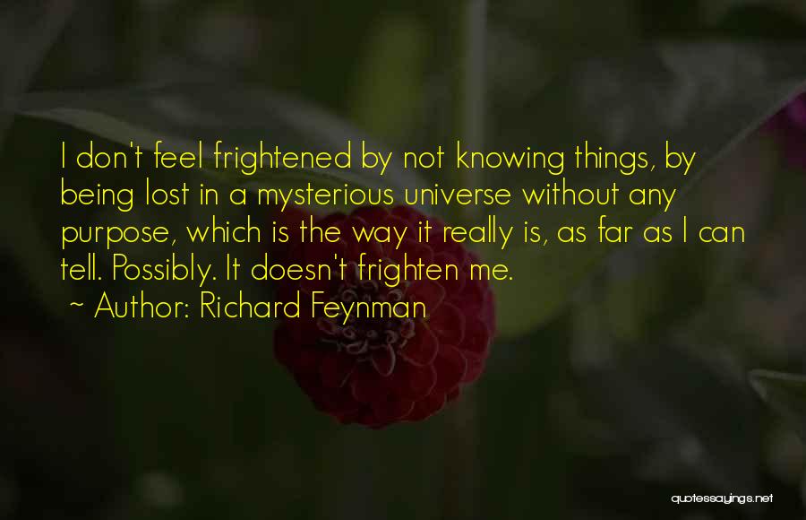 Richard Feynman Quotes 93893