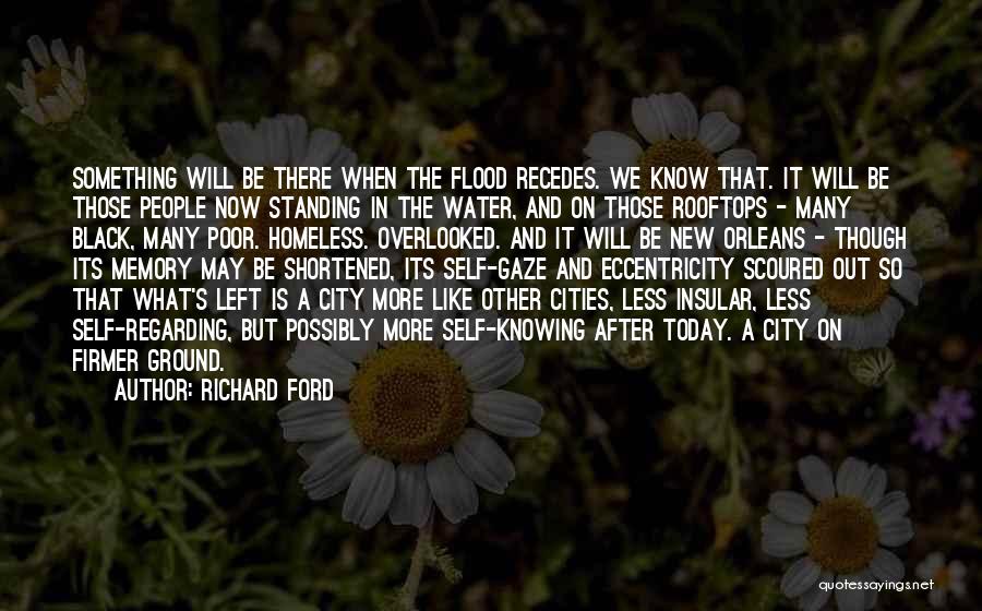 Richard Ford Quotes 1341499