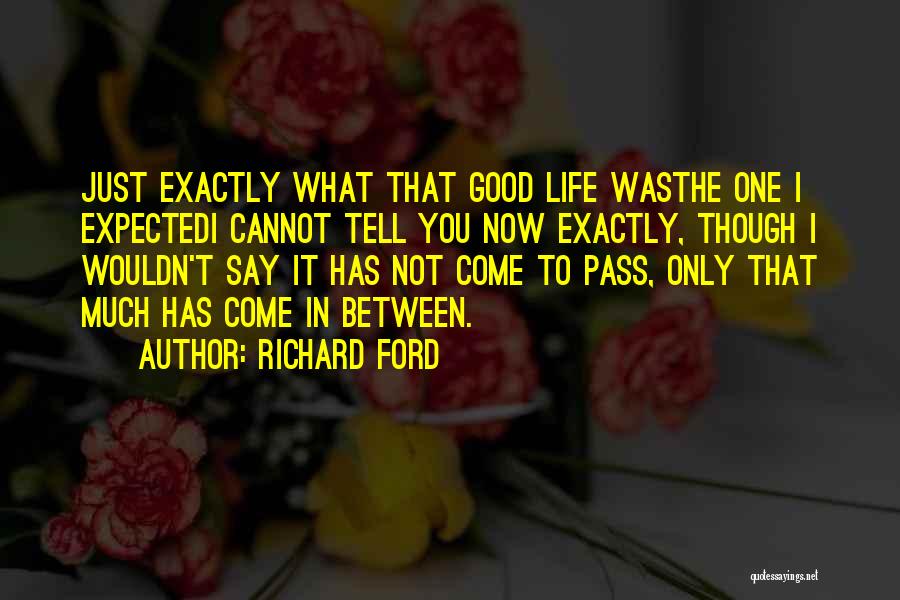 Richard Ford Quotes 1624880