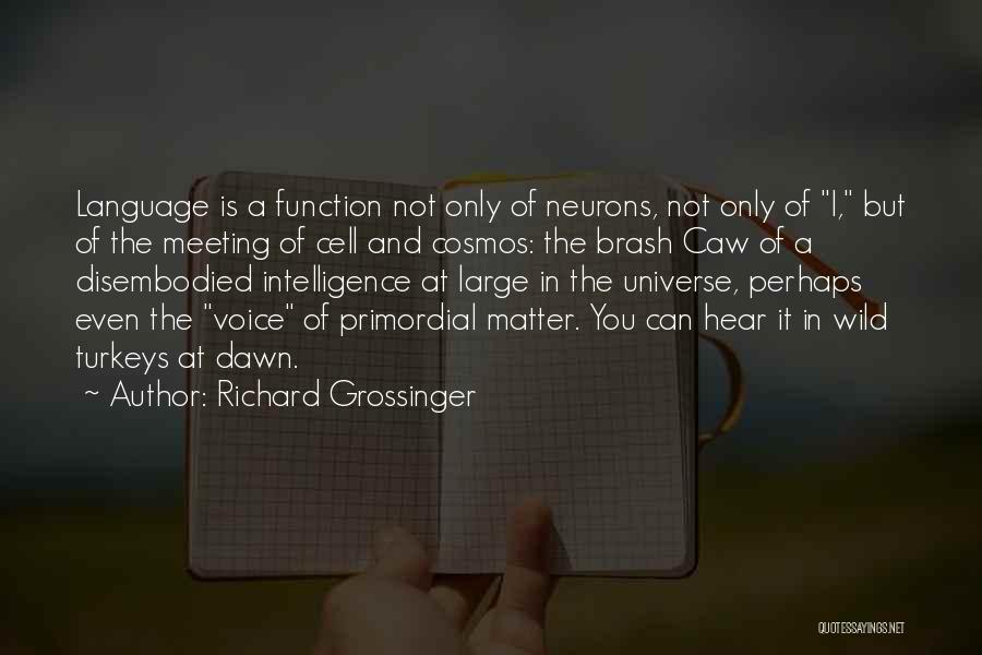 Richard Grossinger Quotes 1812776