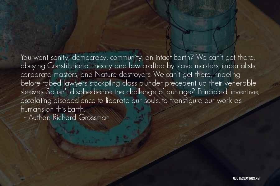 Richard Grossman Quotes 1368719