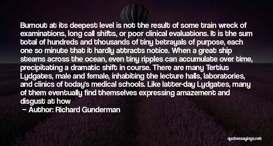 Richard Gunderman Quotes 768158