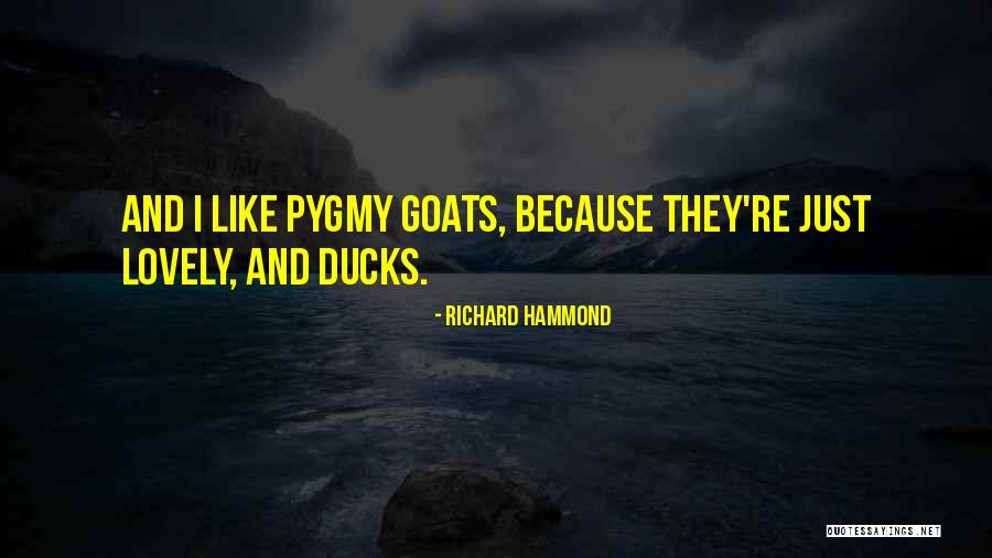 Richard Hammond Quotes 545020 Richard Hammond Quotes 545020