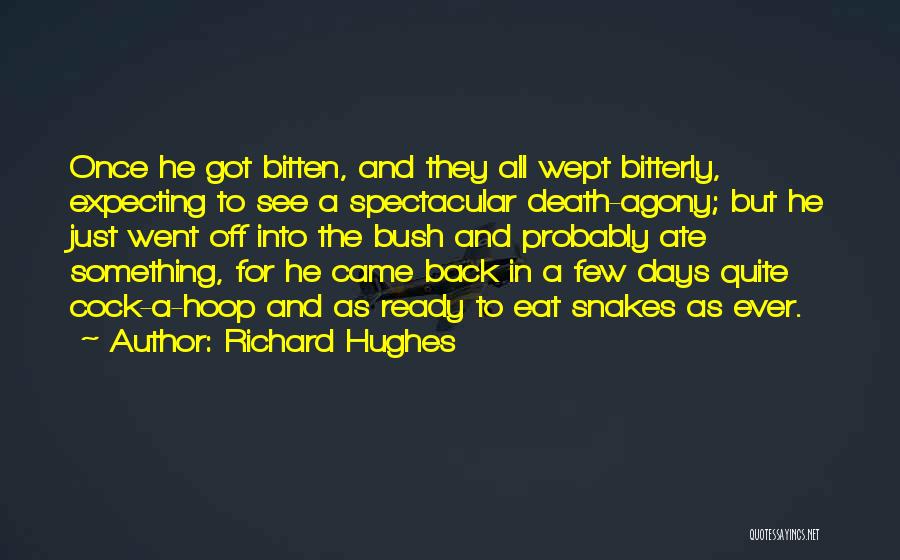 Richard Hughes Quotes 213895