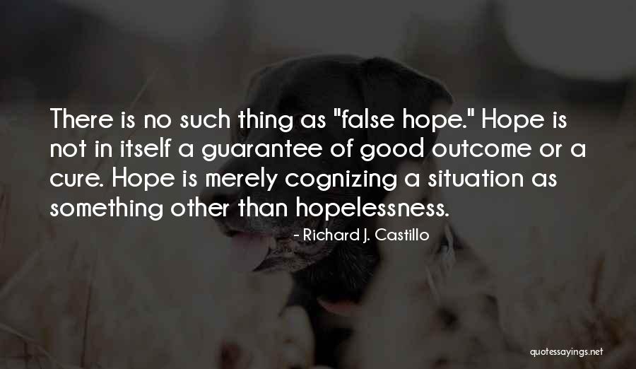 Richard J. Castillo Quotes 606225