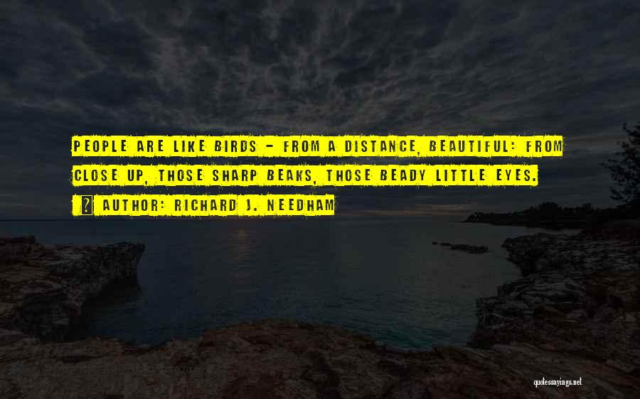 Richard J. Needham Quotes 2144104