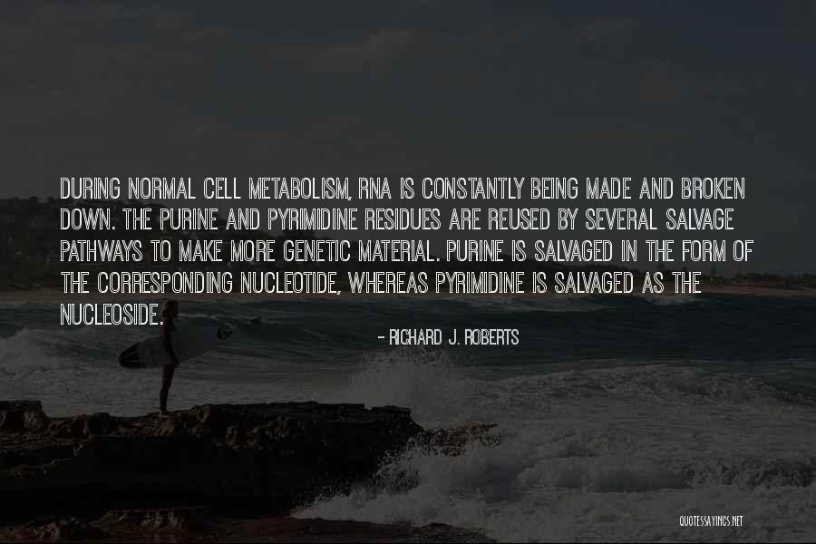 Richard J. Roberts Quotes 1767037 Richard J. Roberts Quotes 1767037