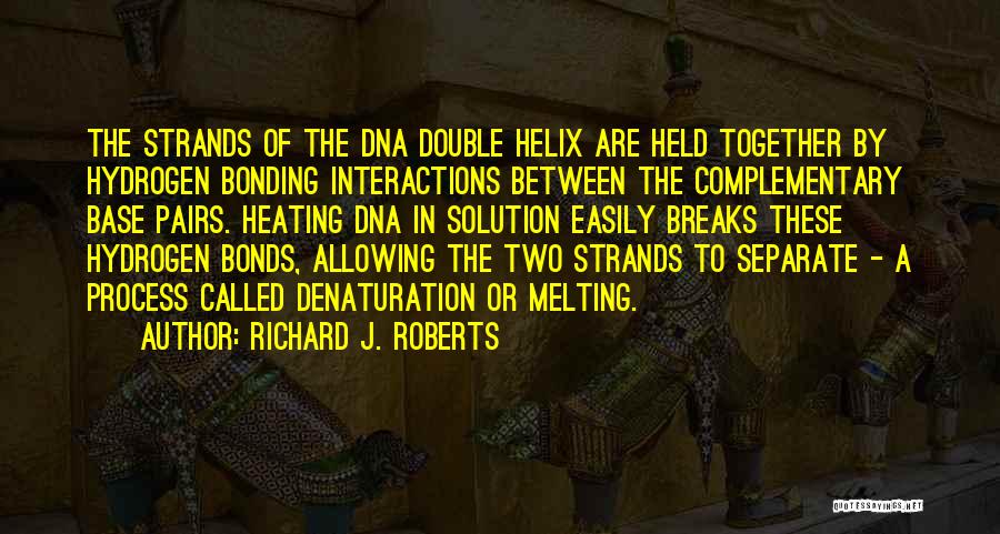 Richard J. Roberts Quotes 843720