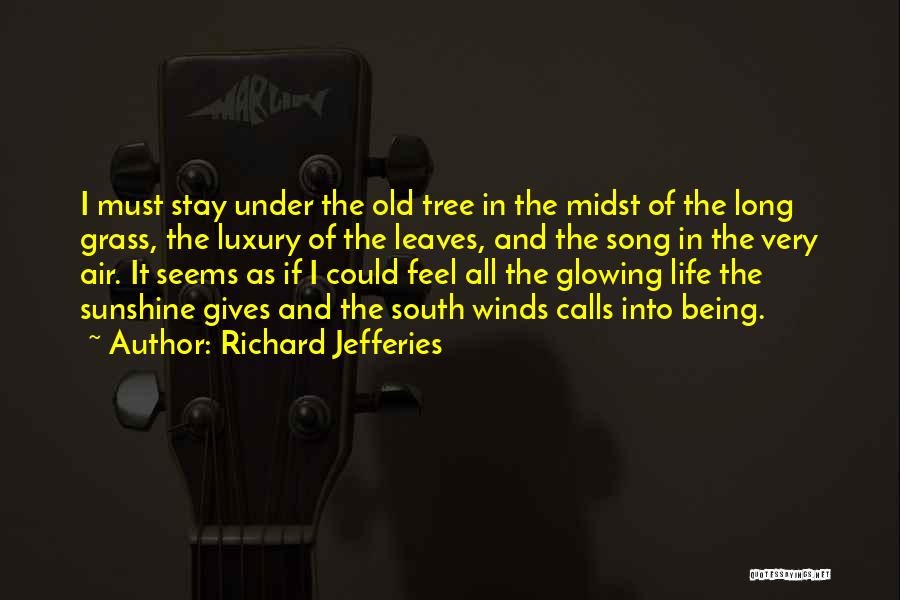 Richard Jefferies Quotes 1015967