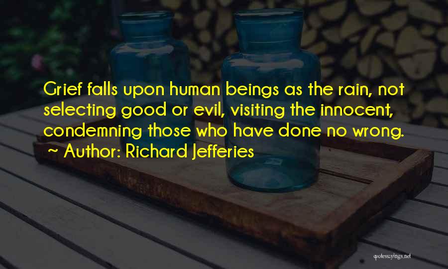 Richard Jefferies Quotes 1665299