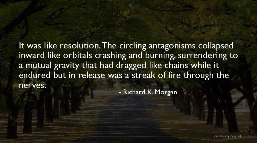 Richard K. Morgan Quotes 1438153