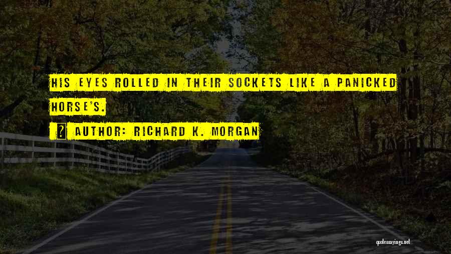 Richard K Quotes By Richard K. Morgan