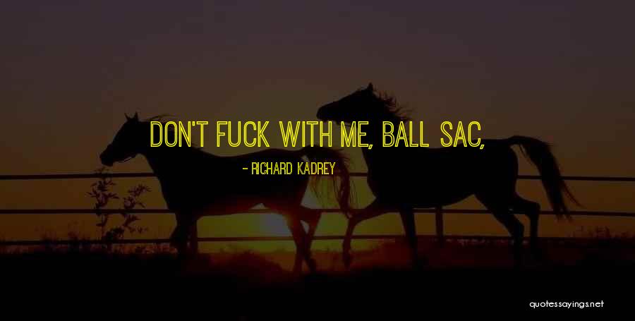 Richard Kadrey Quotes 1393828