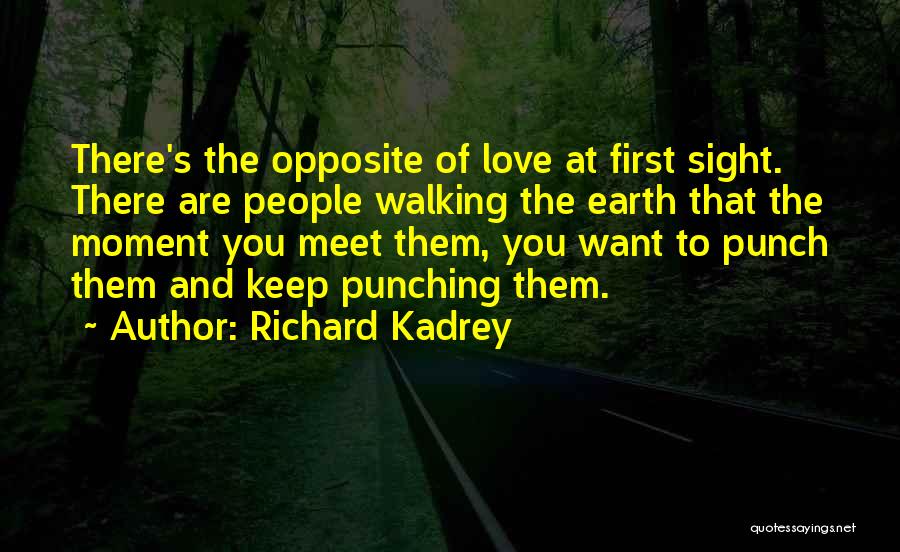 Richard Kadrey Quotes 1450226