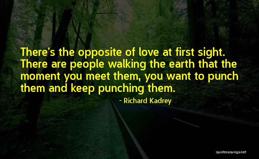 Richard Kadrey Quotes 1450226