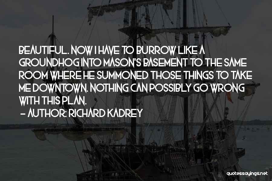 Richard Kadrey Quotes 1556649