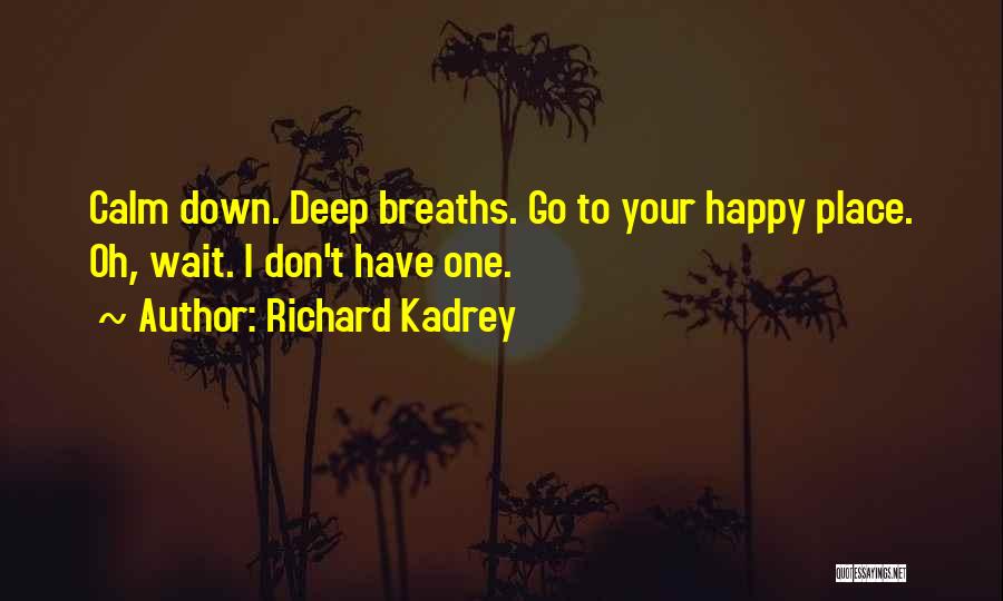 Richard Kadrey Quotes 1624270