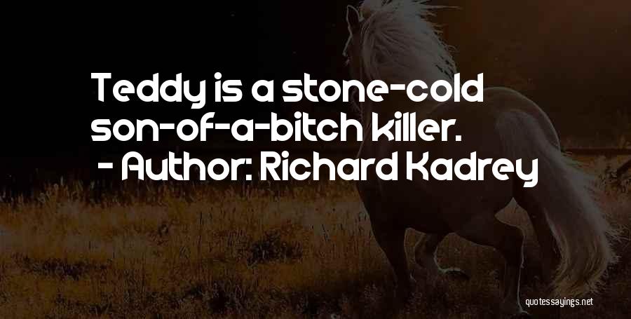Richard Kadrey Quotes 1879639