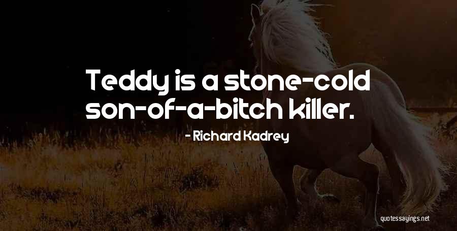 Richard Kadrey Quotes 1879639