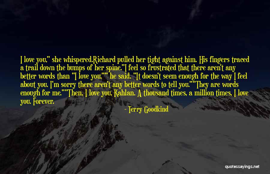 Richard Kahlan Quotes By Terry Goodkind