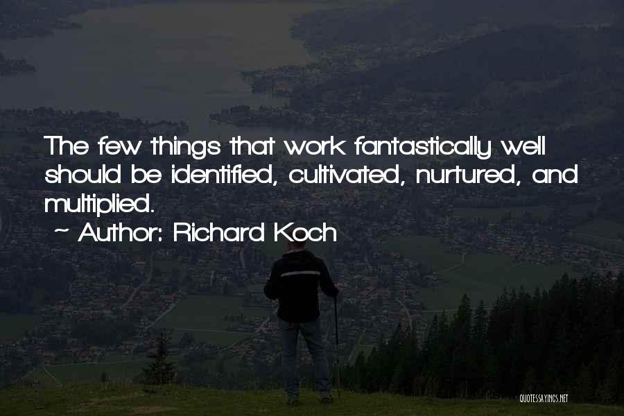 Richard Koch Quotes 640371