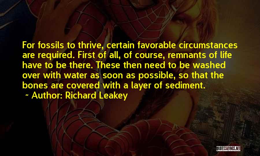 Richard Leakey Quotes 739552