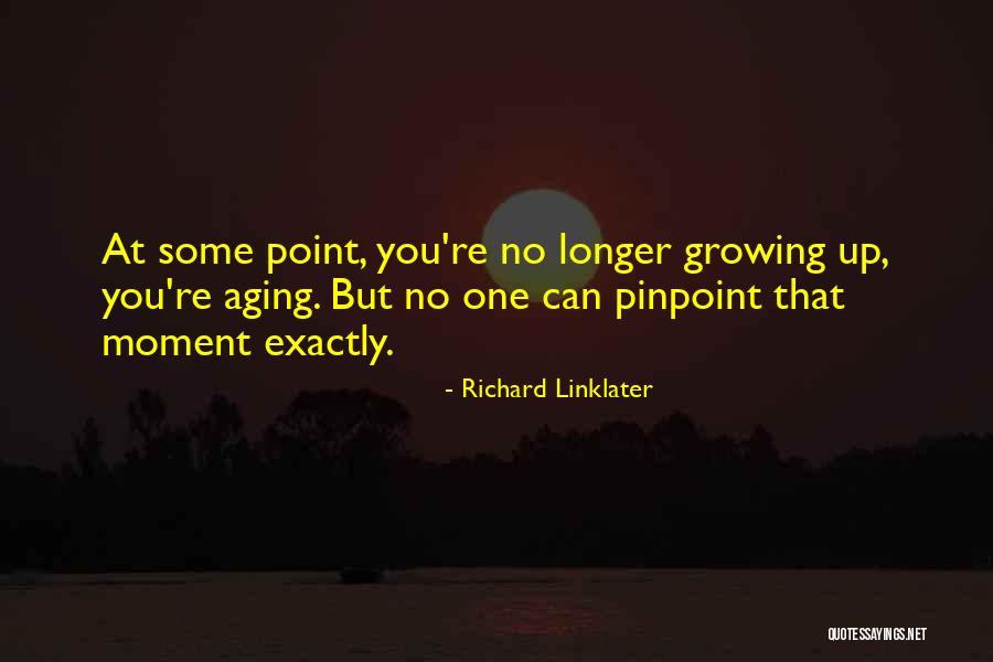 Richard Linklater Quotes 1542143