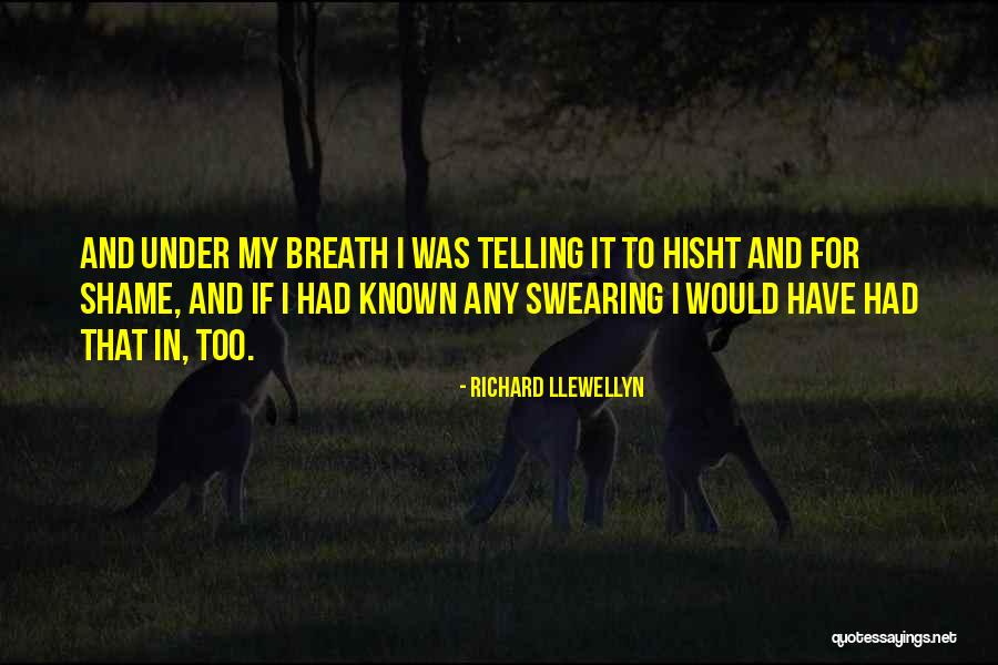 Richard Llewellyn Quotes 1043213