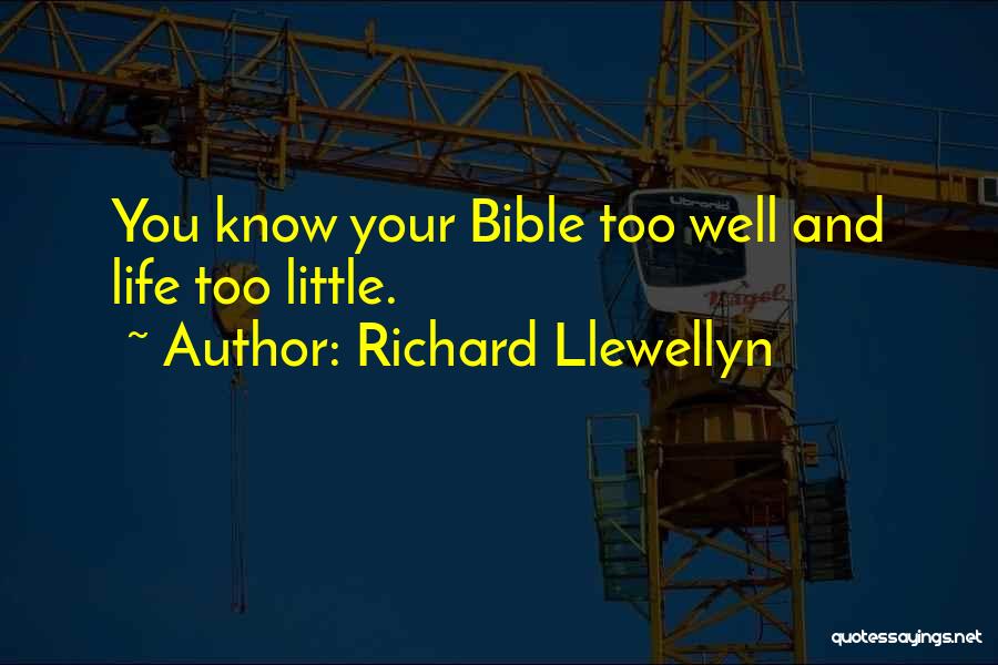 Richard Llewellyn Quotes 1064955