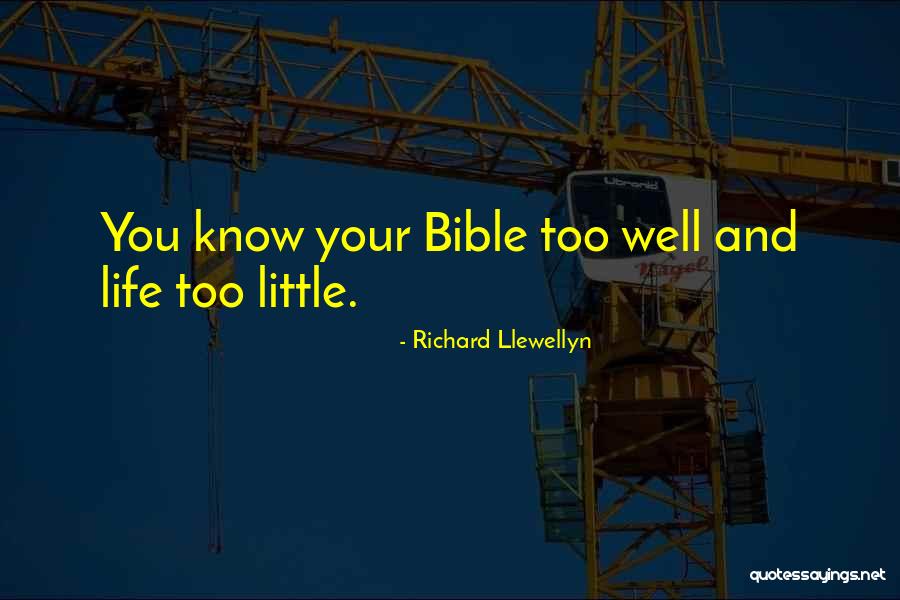 Richard Llewellyn Quotes 1064955