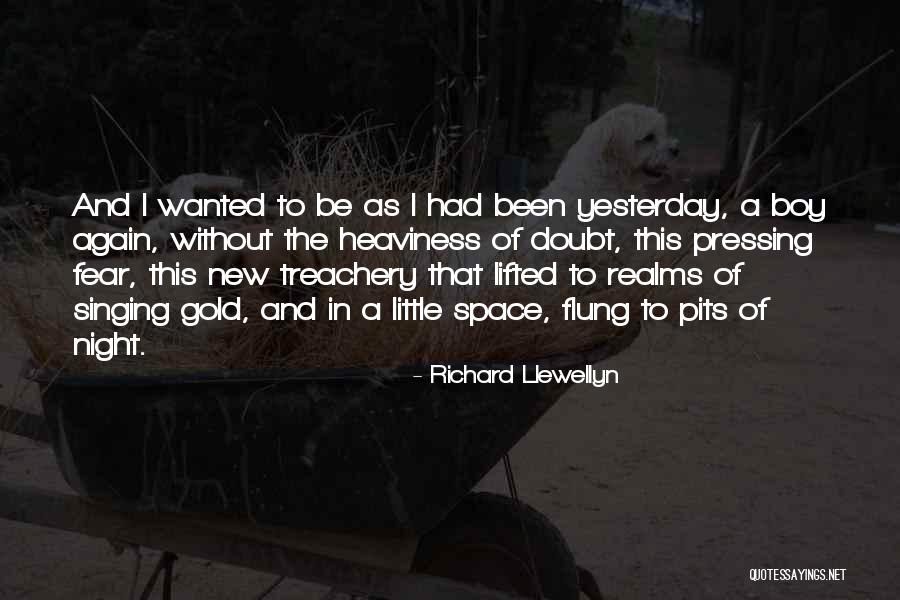 Richard Llewellyn Quotes 2266024