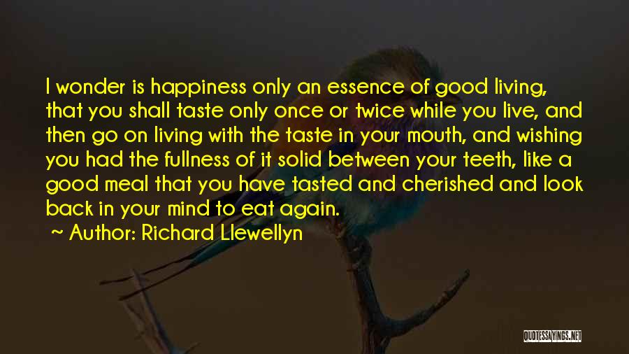 Richard Llewellyn Quotes 270485