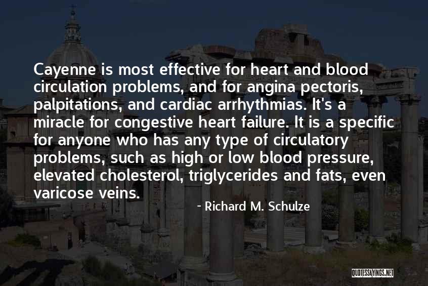Richard M. Schulze Quotes 652801 Richard M. Schulze Quotes 652801