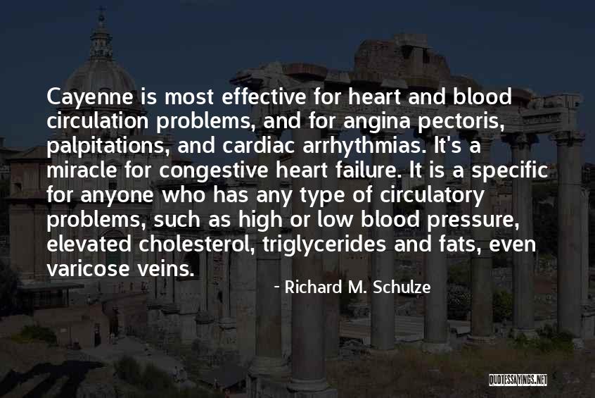 Richard M. Schulze Quotes 652801