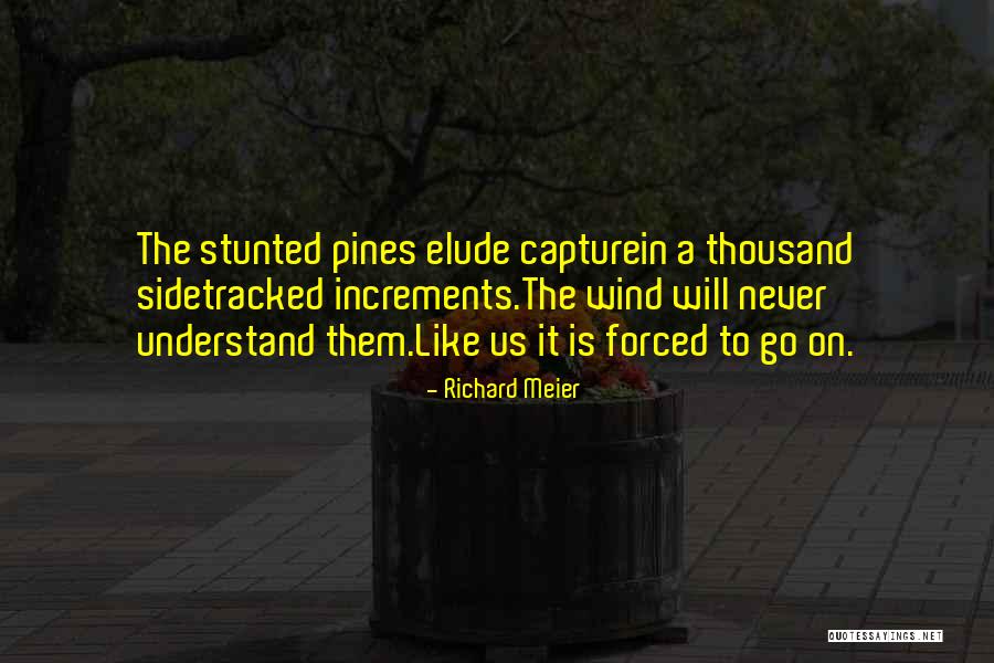 Richard Meier Quotes 954329 Richard Meier Quotes 954329