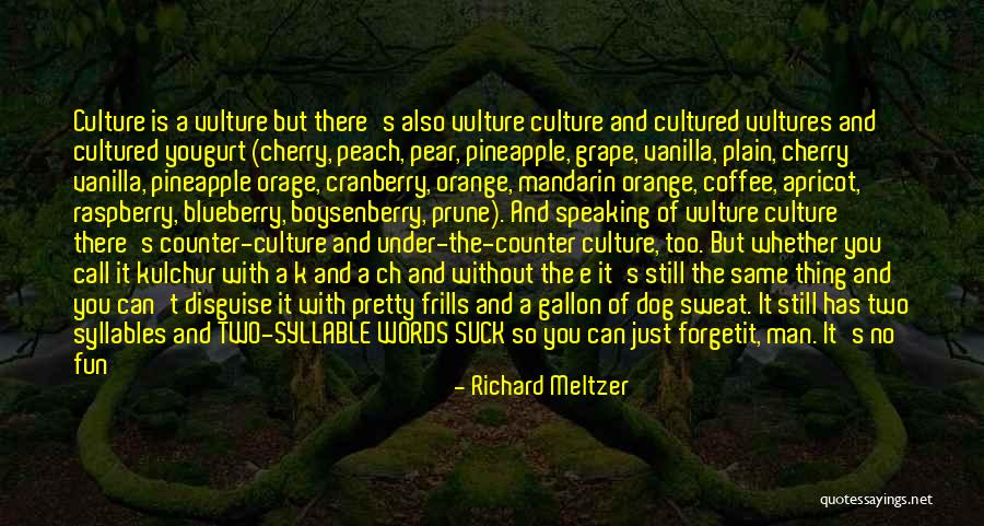 Richard Meltzer Quotes 2134830