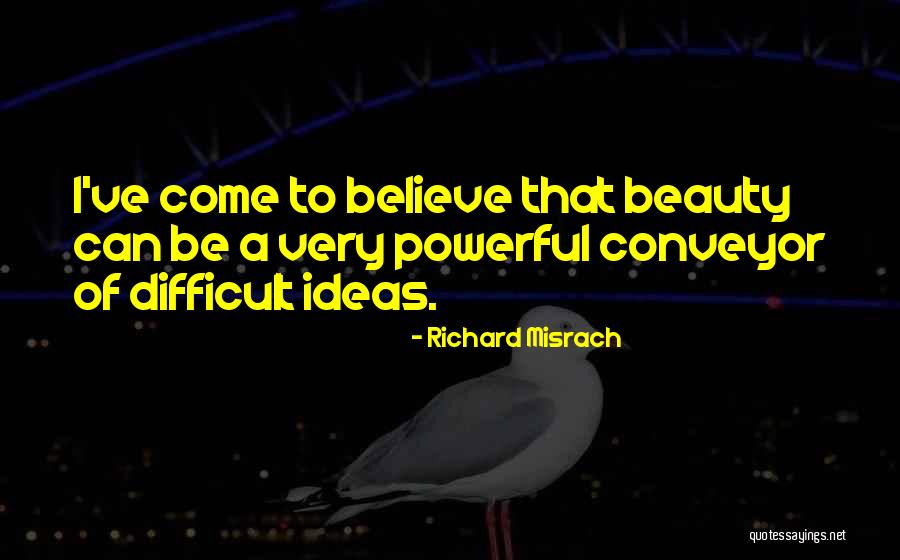 Richard Misrach Quotes 765912