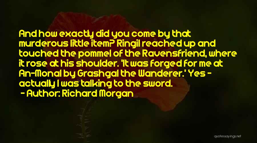 Richard Morgan Quotes 301147