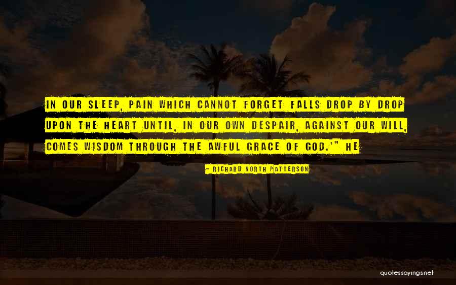 Richard North Patterson Quotes 566160 Richard North Patterson Quotes 566160