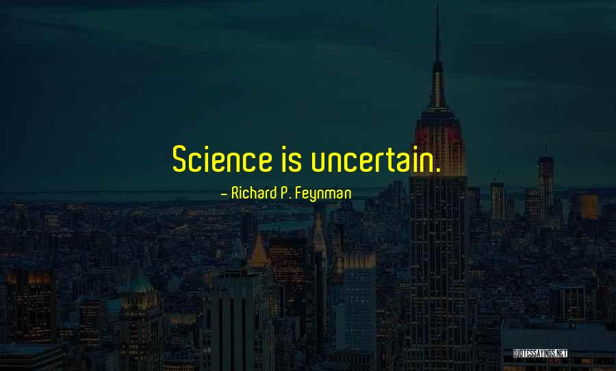 Richard P. Feynman Quotes 107516