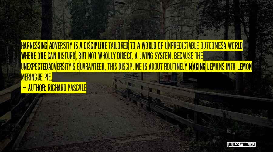 Richard Pascale Quotes 1090350