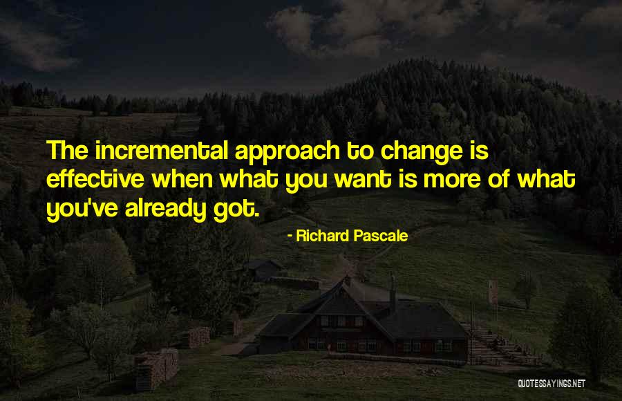 Richard Pascale Quotes 1734598