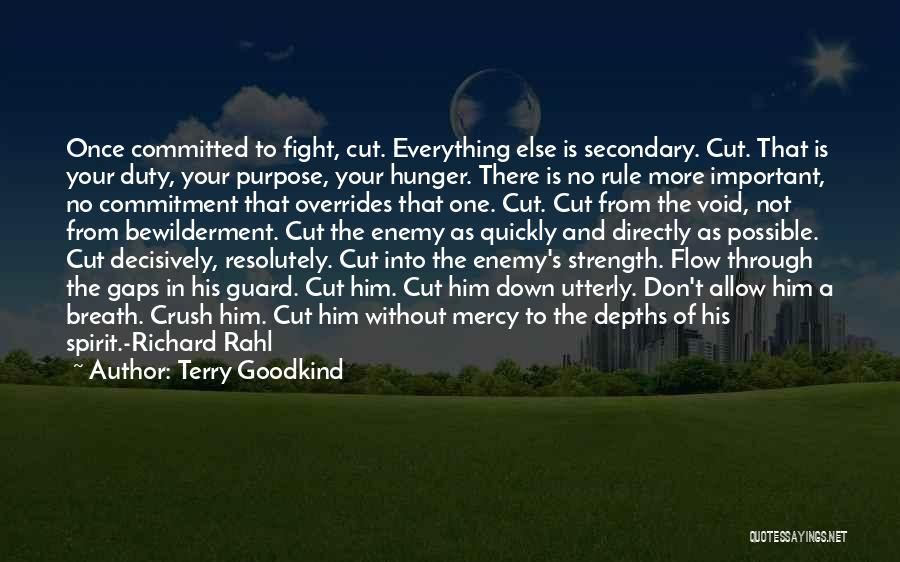 Richard Rahl Quotes By Terry Goodkind