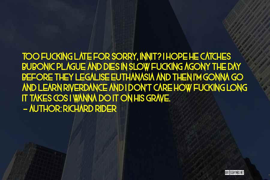 Richard Rider Quotes 713691